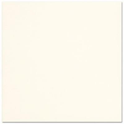 ΠΛΑΚΑΚΙ COLORS Bianco Matt 20x20cm