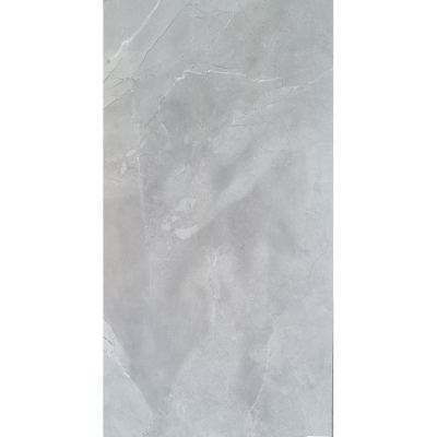 ΠΛΑΚΑΚΙ MONACO GRIS GLOSSY 60x120cm Rett.