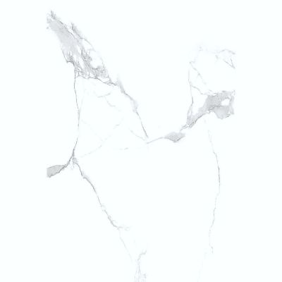 ΠΛΑΚΑΚΙ STATUARIO CLASSIC GLOSSY 60x60cm Rett. 