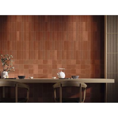  ΠΛΑΚΑΚΙ TERRE TANDOORI 7,5x30cm  